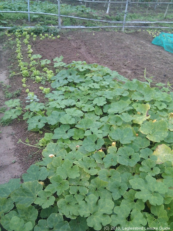 20100215Farm Visit08.jpg